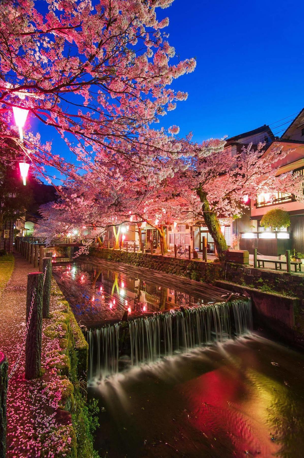 Yutouya Ryokan Toyooka  Dış mekan fotoğraf